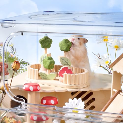 Hamster Chew Toys for Teeth