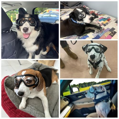 Dog Goggles Anti (Clear / Large)