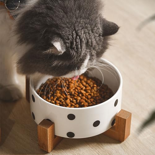 Ceramic Dog Bowl Set with Stand (Black Dot / Puppy/Small Size Dogs & Cat Bowls 400ML*2)