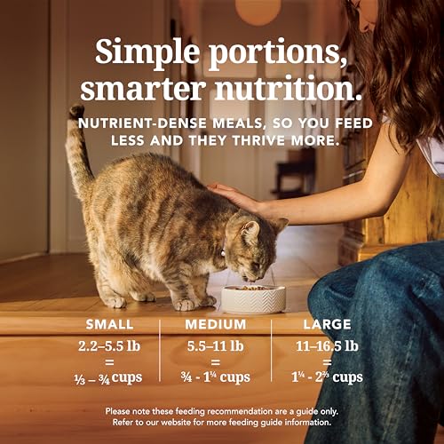 High Protein Freeze Dried Dry Cat Food with 98% Meat (3.5 Ounce (Pack of 1))