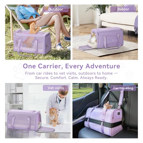 Large Cat Carrier with Patented Safety Buckles (19.0"L x 12.0"W x 12.0"H / Purple)