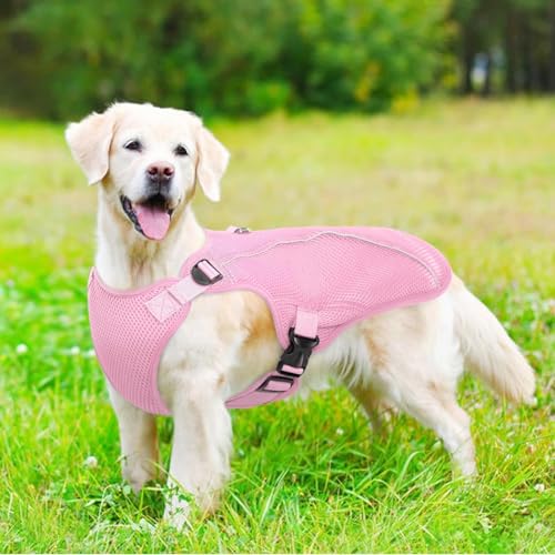 Dog Cooling Vest for Large Dogs with with Sun Protection (Xxl (Chest Girth:31.1'') / Berry Pink)