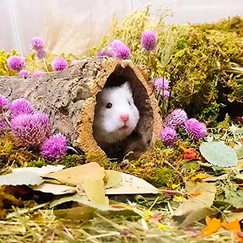 Natural Grain Flower&Herb Hamster Habitat Cage Accessories Bedding Decor (Flower path)