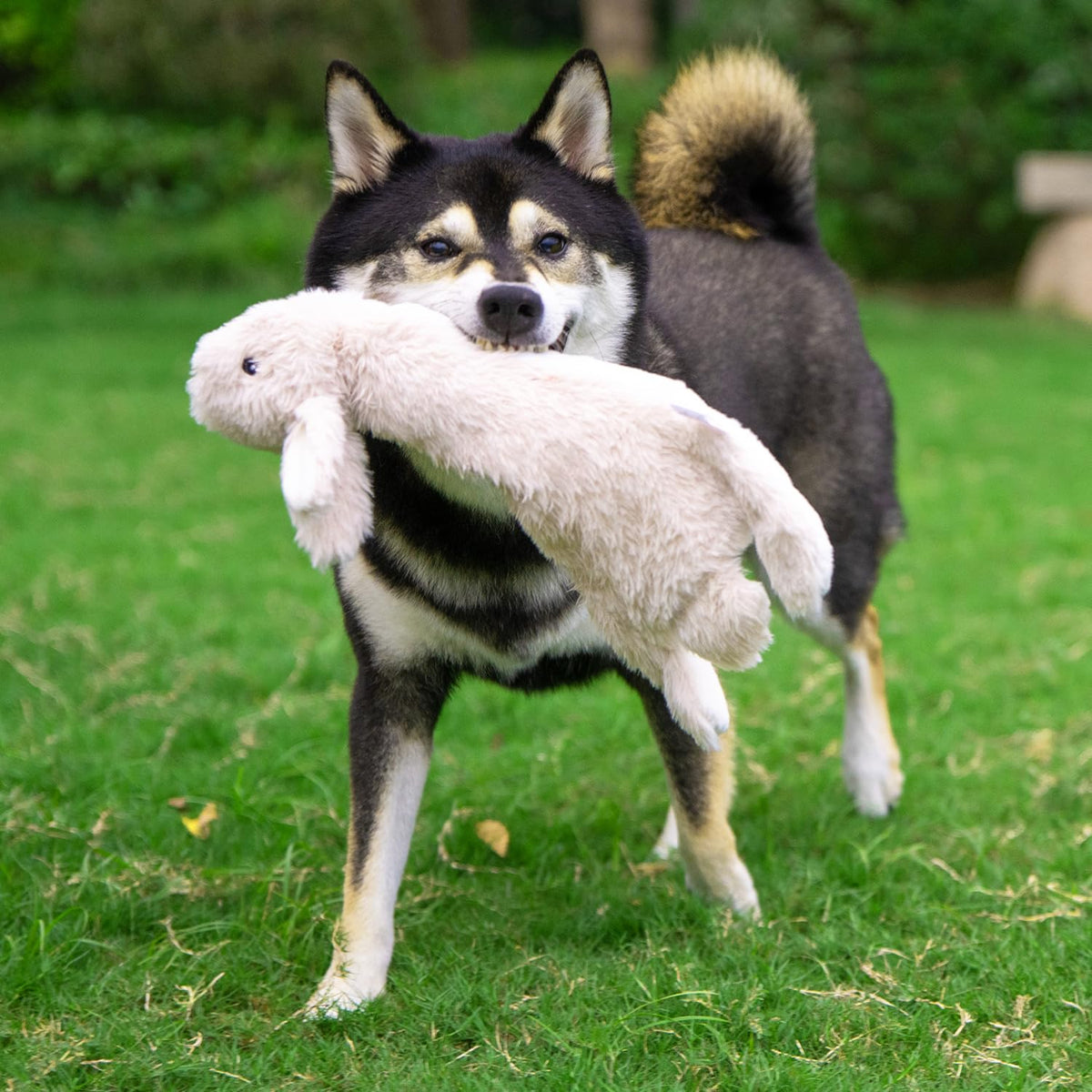 2-in-1 Stuffless Squeaky Dog Toy - 4 Figures, Large (Wild Duck, Hare, Squirrel & Alligator / Large)