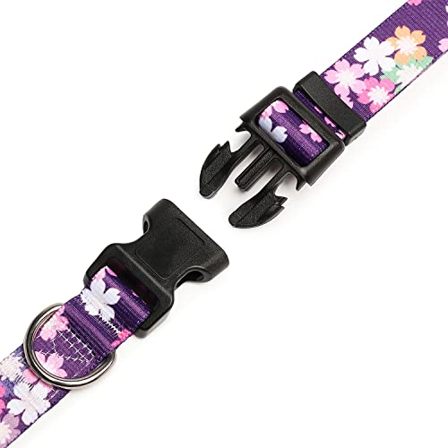 Adjustable Dog Collar (Large / Floral Pink)