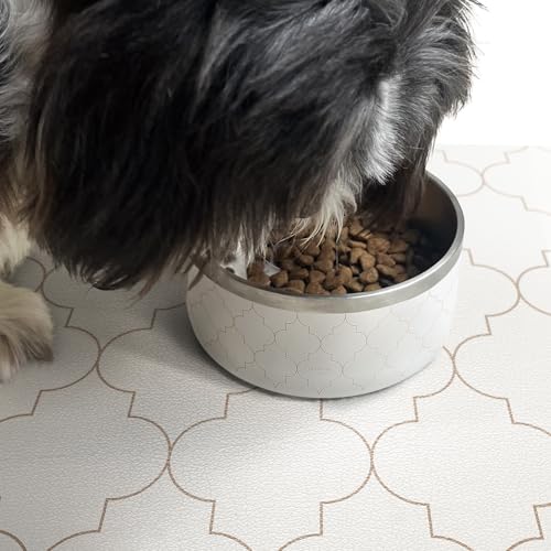 CROXTON & CO. Stainless Steel Pet Bowl for Dogs & Cats (So Pawsh / Medium)