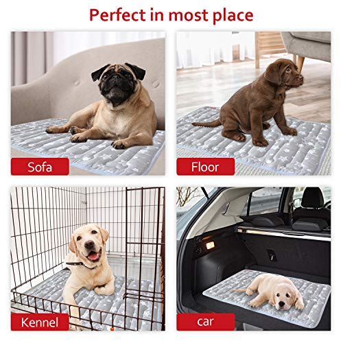 Dog Crate Mat (X-Small 21"X14" / Grey)