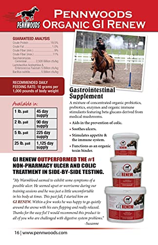 GI Renew Digestive Horse Supplement Powder (2 LBS)