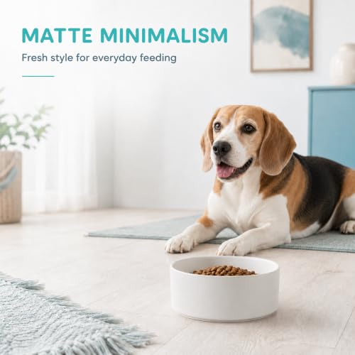 Ceramic Dog Bowls (Matte White)