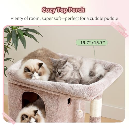 26.3" Cat Tree for Large Cats with Big Perch & Dual Condos HCT204SMU (Rosy Brown / 26.3 inch)