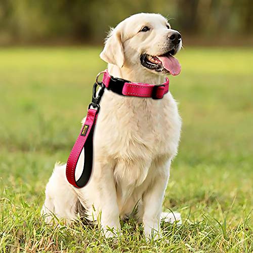 10 Inch Short Dog Leash for Large Dogs with Locking Carabiner Clip & Padded Handle (10” (Pink / 10 Inch (Pack of 1))