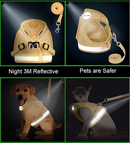 Cat Harness and Leash Set (XS (Chest: 6" - 8") / DarkCream)