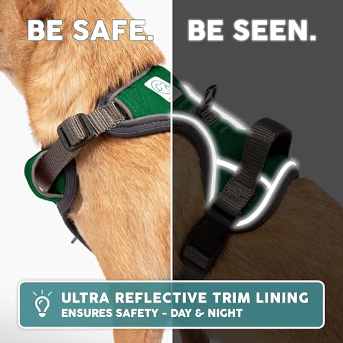 Embark No Pull Dog Harness (L / Green)
