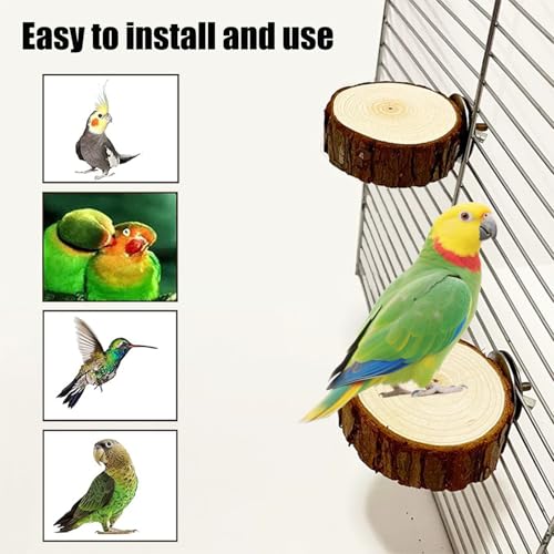 10 PCS Natural Parrot Perch Bird Cage Accessories