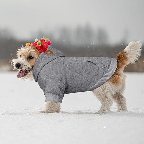 Dog Hoodie Dog Sweaters for Small Dogs Pet Sweater Solid Soft Brushed Fleece Pet Clothes Hoodie Sweatshirt with Pocket (X-Small / Grey)