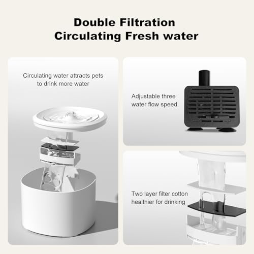 Automatic Cat Feeder & Water Dispenser (Automatic Cat Feeder and Water)