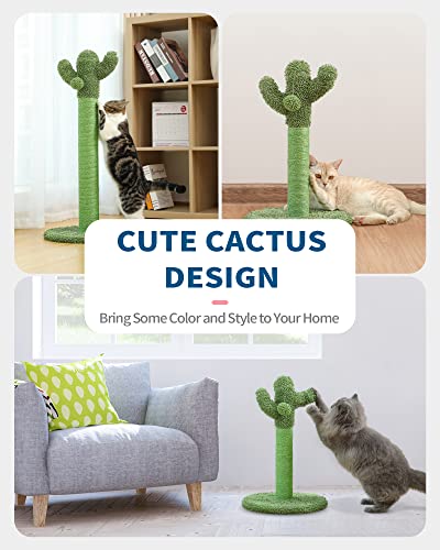 Made4Pets Cactus Cat Scratching Post for Indoor Cats with Plush Ball (Medium - 25.6")