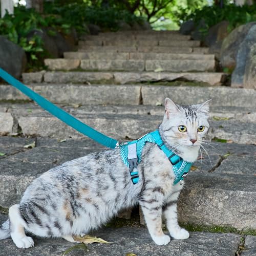 Cat Harness and Leash Set (Turquoise / X-Large)