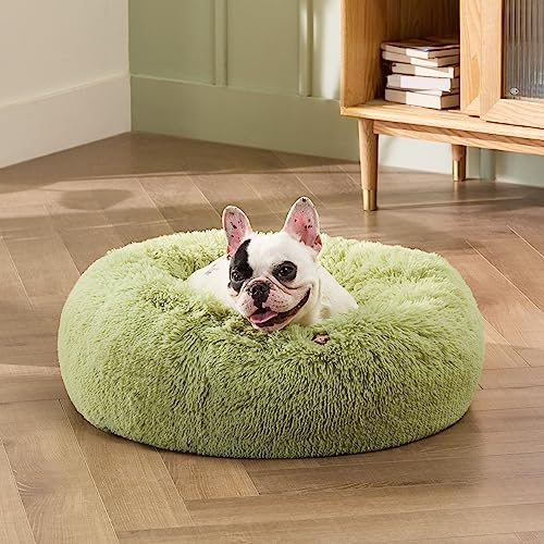 Calming Small Dog Bed Donut Washable Cat&Puppy Bed (23"L x 23"W x 8"Th / Green)