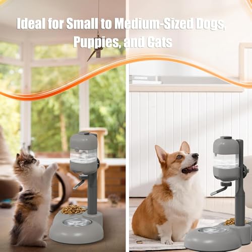 Puppy Bowls for Small Dogs (Gray)