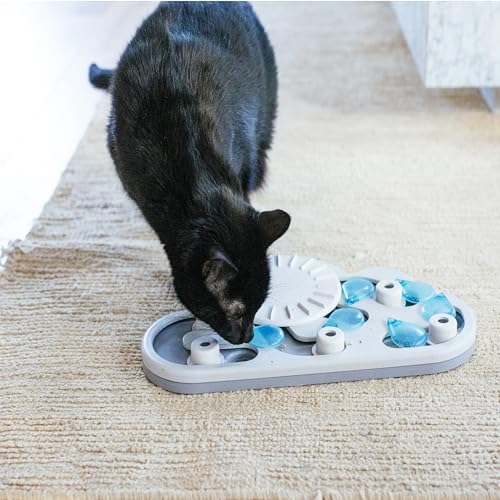 Nina Ottosson Rainy Day Puzzle & Play Cat Toy Treat Puzzle