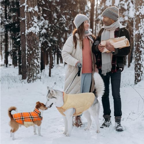 Waterproof Dog Coat (Orange / Medium (Pack of 1))