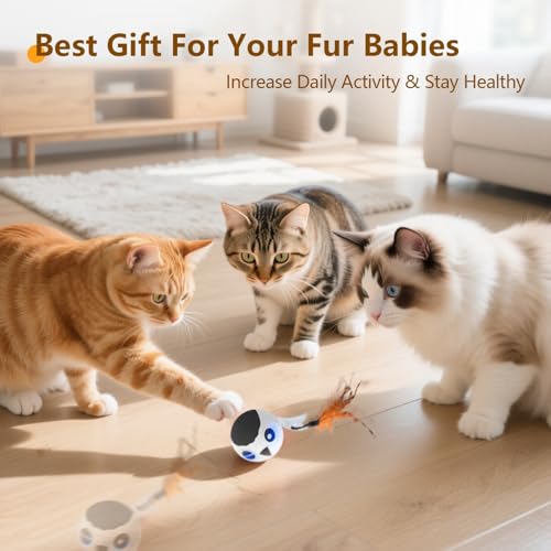 Cat Toys Ball (White)