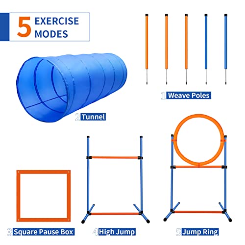 Dog Agility Training Equipment (5 PCS SET with Tunnel)
