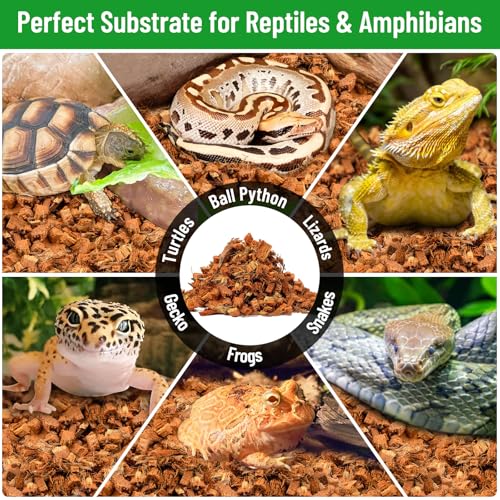4Pack Coconut Husk Chip for Reptiles (4 pack)
