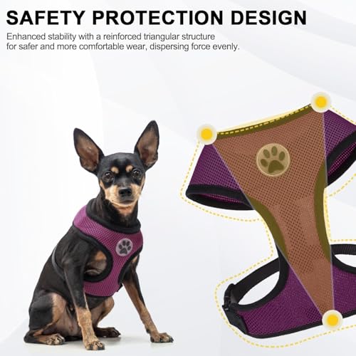 Small Dog Harness (S (NECK: 12", CHEST: 14"-18") / Purple)