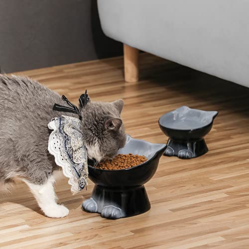 Elevated Cat Bowls (6.8 OZ+15.5 OZ / Gray)