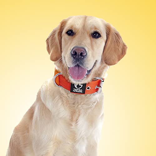 Heavy Duty Thick Dog Collar with Metal Buckle for Medium Dogs (M – Fits Neck 15.8"-18.9" / Basic Orange)