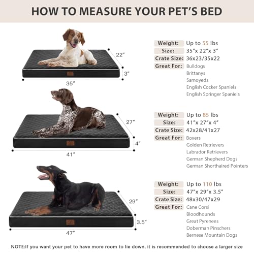 Orthopedic Waterproof Large Dog Bed for Crate Cozy Sleep (black / 35"L x 22"W x 3"Th)