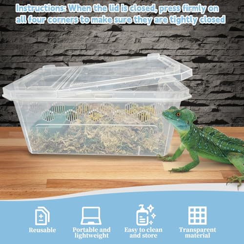 Reptile Feeding Box 6 PCS Snake Breeding Box Lizard Cricket Cage Habitat Hatching Container Transparent Portable Critter Keeper for Spider Scorpion Gecko Tortoise Treefrog