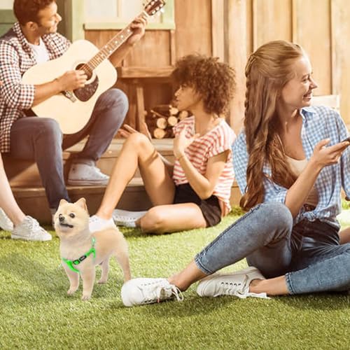 No Pull Dog Harness Soft Adjustable Basic Nylon Step in Puppy Vest Outdoor Walking with ID Tag (LimeGreen / Small)