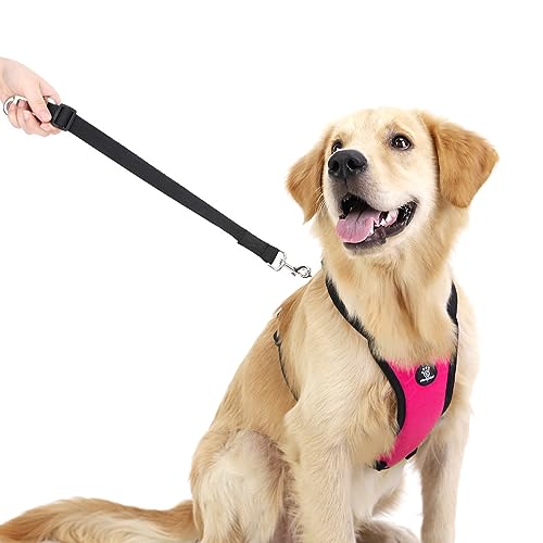 Dog Seat Belt Vest Harness for Car (Magenta / L (Chest: 22-32.3", Neck: 16.9-26"))