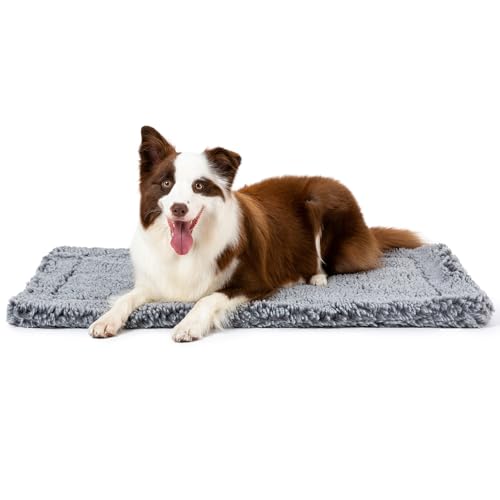 Stoutwool Indestructible Dog Bed (35.0"L x 22.0"W x 2"Th / Charcoal)