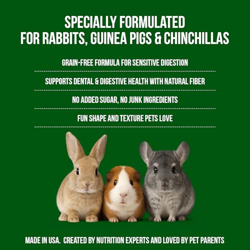 Snackies for Chinchillas (1 Ounce (Pack of 1))