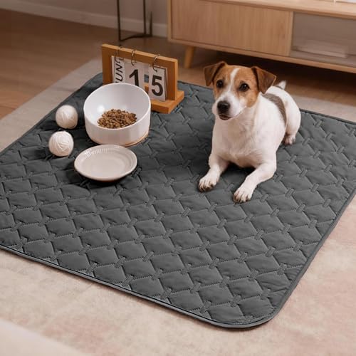 Waterproof Armchair Covers for Pets (30x30 Inch (Pack of 1) / Dark Grey)