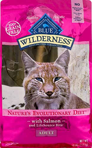Wilderness Grain Free Natural High Protein Salmon Adult Dry Cat Food (1 Count (Pack of 1))