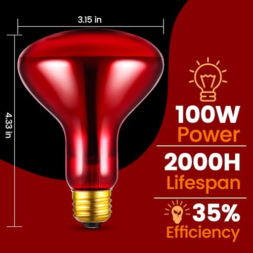 Dual Reptile Lamp Fixture with 100W Daytime Heat & 100W Nighttime Infrared Heat Bulbs (ST2)