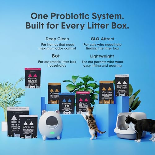 Boxie Probiotic Clumping Cat Litter 40+ Day Odor Control Dust Free 40 lb (40 lb)