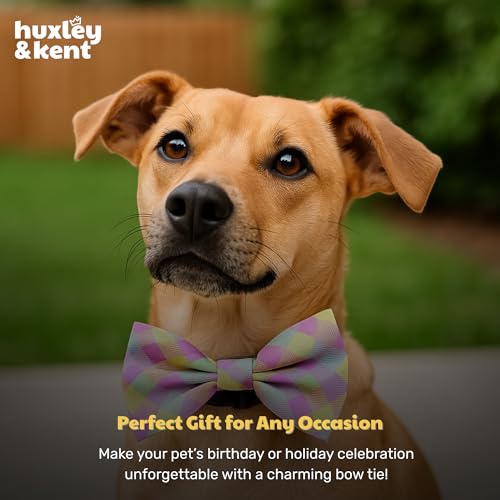 Pet Bow Tie for Dogs & Cats (Large)