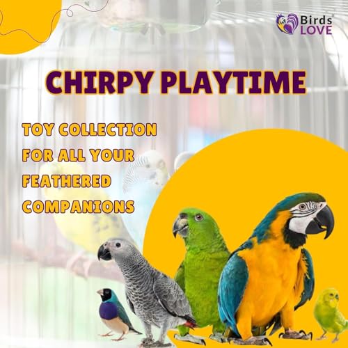 Wood Stars & Leather Toy for Bird Cage Stand or Playgym