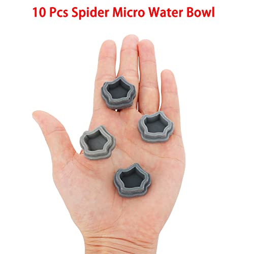 10 Pack Small Size Spider Terrariums Breeding Box Hatching Container Insect Scorpion Centipede Acrylic Breeding Box