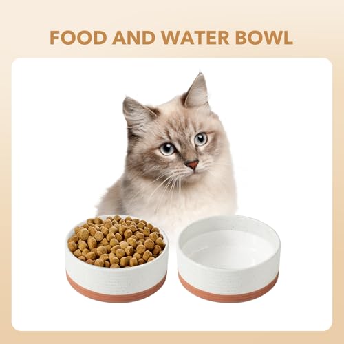 Dog Bowls Ceramic (2 Bowls-Vanilla White / 1.6CUPS)