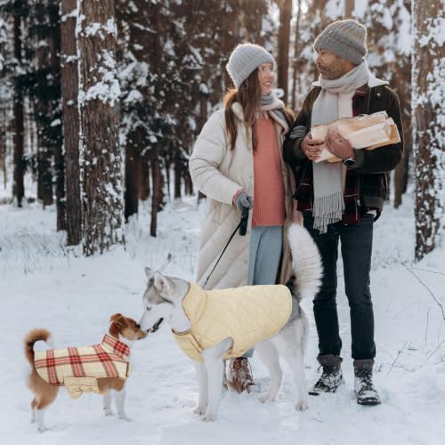 Waterproof Dog Coat (Beige&Red / Large (Pack of 1))