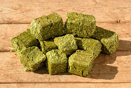 Alfalfa Cubes for Feeding (1 Pound)