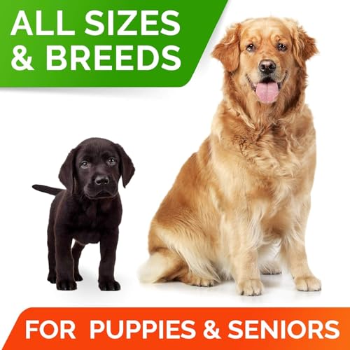 Dog Probiotics Treats for Picky Eaters (Probiotic Chews / 240Ct (Bacon))