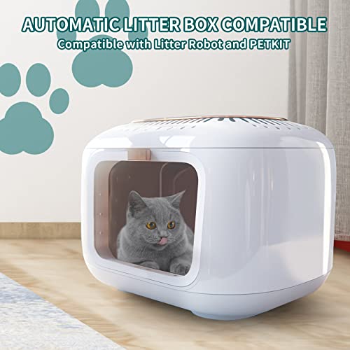 Plant Based Cat Litter